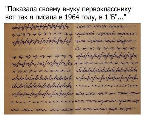   :    - 8  2017  08:23