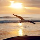 ���� �������, ��������, 55 ��� - ��������� 13 �������� 2017 � ������ ������ ��������