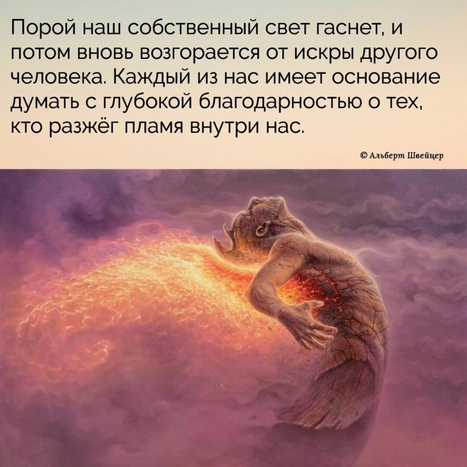  | ,  - 23  2017  12:46