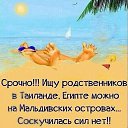 ���� ����, ������ ��������, 53 ���� - ��������� 30 ��� 2017 � ������ ������ ��������