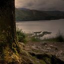  Renata, , 49  -  29  2017    