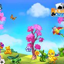  , , 60  -  31  2017    -