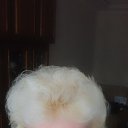 ���� ������, �������, 61 ��� - ��������� 11 ���� 2017 � ������ ������ ��������