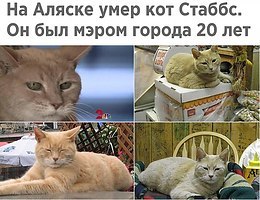    ! - 27  2017  07:48