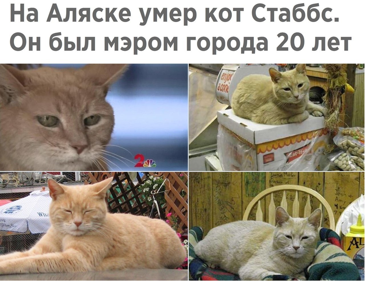   -   - 27  2017  14:09