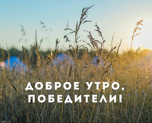 ����� - ��� ����� - 2 ������� 2017 � 08:09