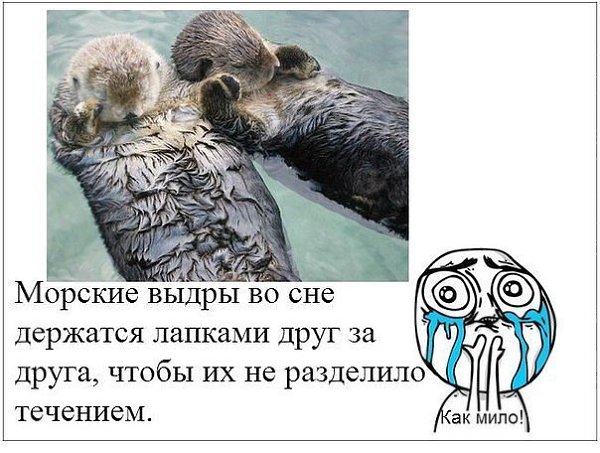 �����? ��, �� �������! - 7 ��� 2017 � 13:27