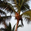 ���� ������, ������, 53 ���� - ��������� 4 ��� 2017 � ������ ���� �����02.2017.�