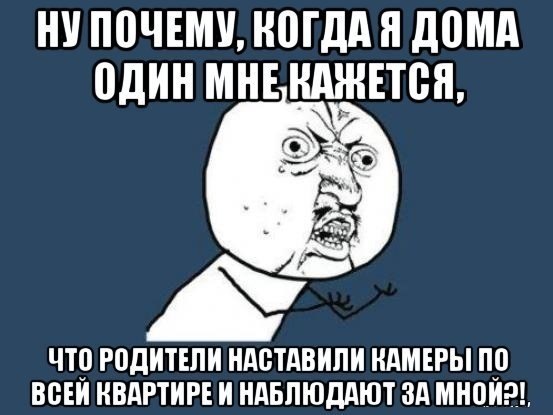    :D - 8  2017  14:31
