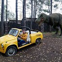 ���� ������, ��������, 45 ��� - ��������� 8 ������� 2017 � ������ �����������