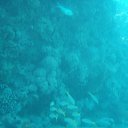 ���� ��������, �����, 57 ��� - ��������� 19 ������� 2017 � ������ ������� 2017�