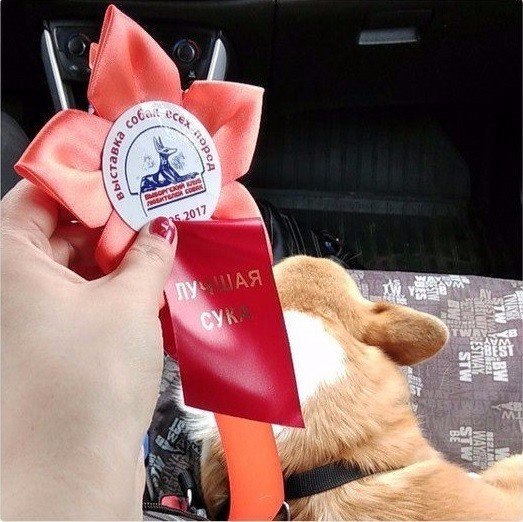 � �������� ����������� �������, � ���� ������-�� ���� ���...