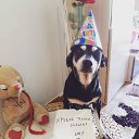  Levan, , 59  -  16  2017    