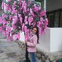 ���� ������, ������, 42 ���� - ��������� 26 ������ 2017 � ������ ���� ����������