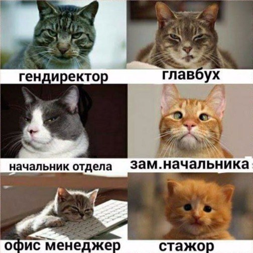 Niko Kubinec - 13  2017  18:51