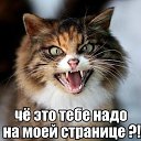 ���� ����, ������, 54 ���� - ��������� 7 ������ 2017 � ������ ���� ����������