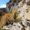  , , 60  -  16  2017        ,,14.10.17.