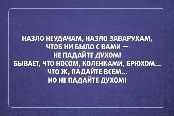      - 2  2017  15:51