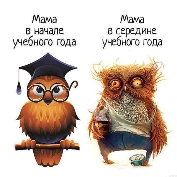 ������� �������� - 23 �������� 2017 � 00:19