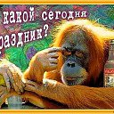 ���� ������, ������������, 106 ��� - ��������� 23 ������ 2017