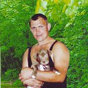 ���� �������, ��������, 54 ���� - ��������� 1 ��� 2017 � ������ ���� ����������