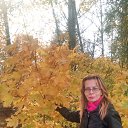  , -, 53  -  28  2017    