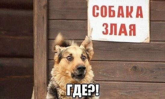 Comedy Club - 10  2017  08:22