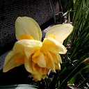 ���� �������, ������, 58 ��� - ��������� 30 ������ 2017 � ������ ���������� �����