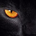 ���� �����, ������������, 50 ��� - ��������� 2 ���� 2017