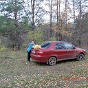 ���� ���������, ������ ��������, 49 ��� - ��������� 26 ���� 2017 � ������ ���� ����������