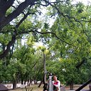 ���� Donna Roza �*����������))), ������ - ��������� 16 ���� 2017 � ������ ���� ����������