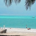 ���� �����, ������� - ��������� 28 ���� 2017 � ������ ���� ����������