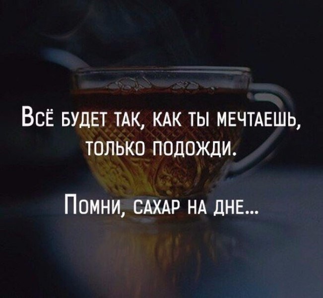  -   - 16  2017  13:05