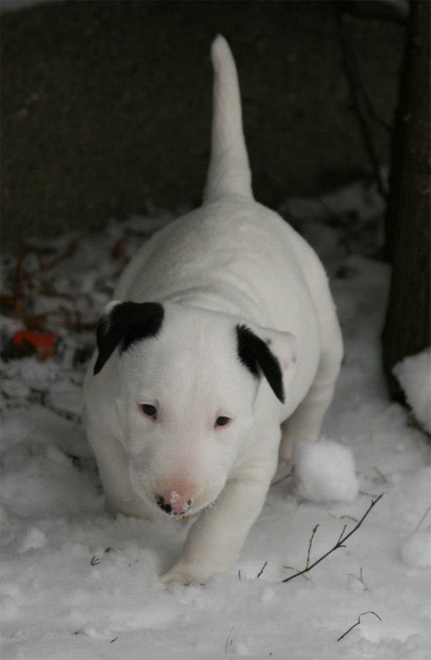 Уважаемые участники группы!)).Всем хорошего настроения в Буле-Городке))) Надеемся что в нашей группе ...