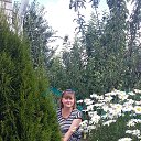 ���� �����, ��������� - ��������� 26 ���� 2017 � ������ ���� ����������