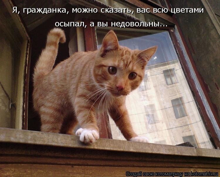   .     ))) - 35