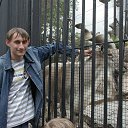 ���� ������, ������������, 44 ���� - ��������� 7 ���� 2017