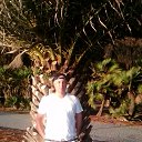 ���� ����� ������� ����, ��������� - ��������� 9 �������� 2017 � ������ ���� ����������