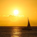 ���� ����������, ������-��-����, 50 ��� - ��������� 8 ������� 2017 � ������ ���� ����������