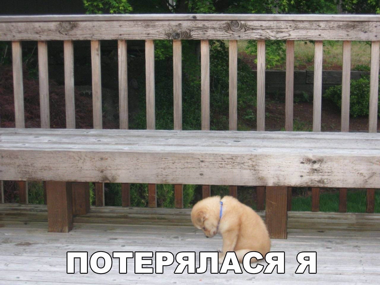   :D - 26  2017  00:35