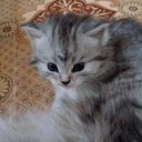 ���� �������, ������ - ��������� 17 ��� 2017 � ������ ���� ����������