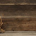 ���� ���������, ������, 59 ��� - ��������� 15 ������ 2017 � ������ ���� ����������