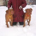  , , 46  -  5  2017   ...