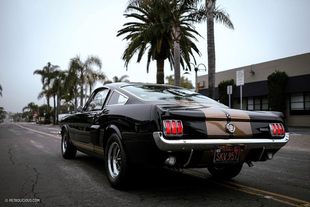 1966 Shelby GT350H 