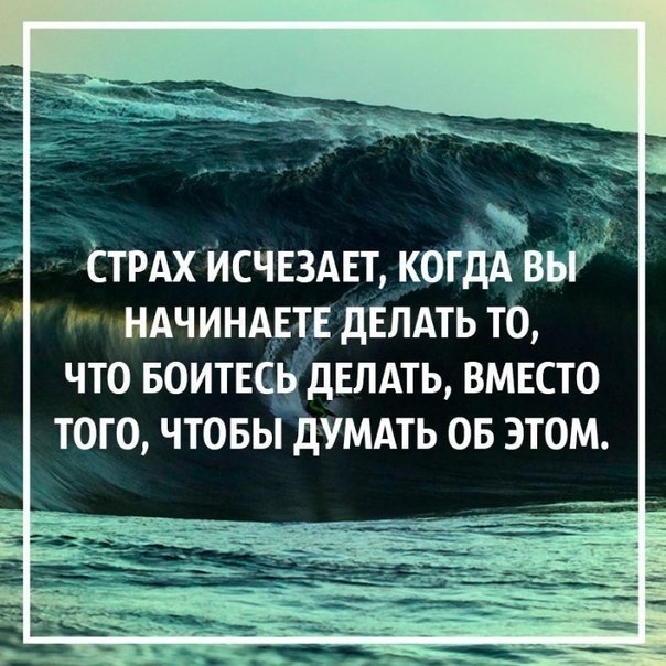    - 14  2017  12:52