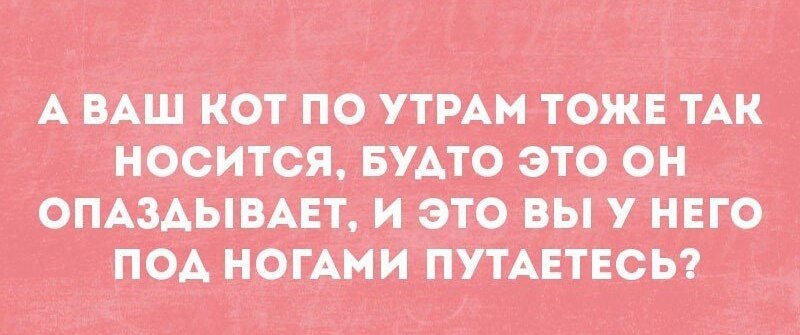       - 27  2017  11:40