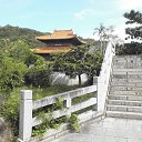 ���� �������, �������, 50 ��� - ��������� 2 �������� 2017 � ������ ������