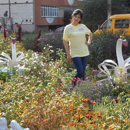 �������, ����, 61 ���