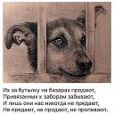 ���� �����, �����-���������, 79 ��� - ��������� 23 ���� 2017 � ������ ������ ��������