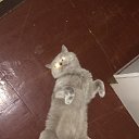 ���� �����, ���������, 45 ��� - ��������� 24 ������� 2017 � ������ ���� ����������